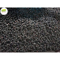 Bulk wholesale distrite supplier IQF Frozen blackcurrant